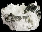 Gleaming, Cubic Pyrite & Quartz Cluster - Peru #54979-1